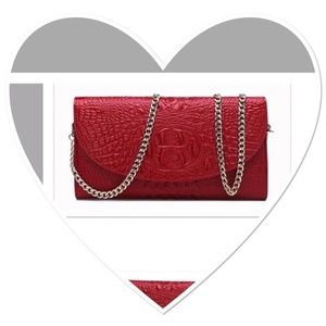 NWOT Crossbody Bag or Clutch